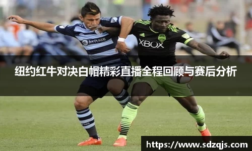 bsports官网入口
