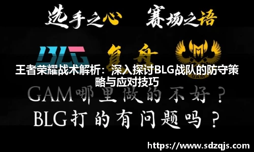 bsports官网入口