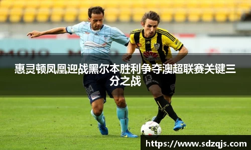惠灵顿凤凰迎战黑尔本胜利争夺澳超联赛关键三分之战